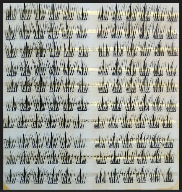 Cluster Lash Catalog